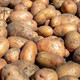 精选新鲜土豆土豆黄心土豆马铃薯土豆批发新鲜蔬菜现挖3/5/10斤装