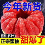 农家自产 嘉陵川工带川货【会员享实惠】红心柚子4.5斤1箱2个