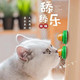 网红猫糖舔舔乐大力丸能量球猫吃的糖宠物猫咪零食营养膏抖音糖果