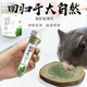 猫薄荷猫草猫零食猫咪薄荷球助化毛球清洁口腔猫薄荷粉猫咪零食