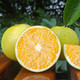 【现货现摘】云南冰糖橙新鲜水果橙子应季孕妇手剥脐橙薄皮甜橙子