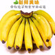 现摘高山甜大香蕉新鲜水果9/5/3斤芭蕉当季整箱小米蕉苹果蕉