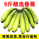 现摘高山甜大香蕉新鲜水果9/5/3斤芭蕉当季整箱小米蕉苹果蕉