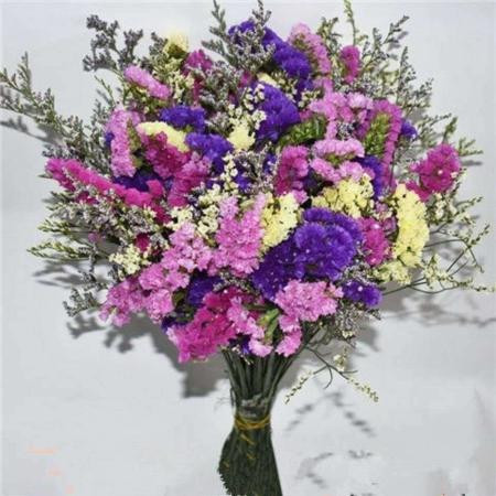 勿忘我满天星干花花束家居装饰花鲜花批发插花客厅花束图片