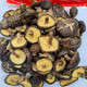 农家自产 椴木香菇 福建特产 山珍菌种