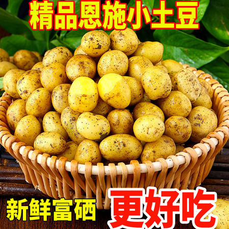  大牛哥  精品恩施小土豆新鲜黄心土豆当季迷你马铃薯洋芋【大均良品】