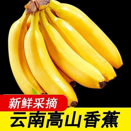 大牛哥 云南高山甜香蕉大香蕉新鲜水果应季整箱包邮非小米蕉