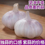 义江缘 【农家干蒜】新大蒜头 干蒜紫皮大蒜菜新鲜蔬菜蒜头大蒜农家腊八蒜糖蒜子