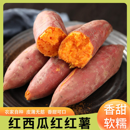 义江缘 【领券立减10元】西瓜红蜜薯红薯沙地红蜜薯红心红薯3/5/10斤