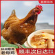 【顺丰】农家散养老母鸡 新鲜现杀 顺丰老母鸡（1000±50克）带内脏