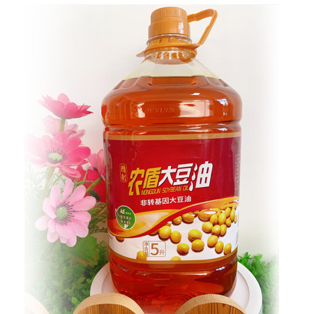 农家自产 非转基因笨榨大豆油5L