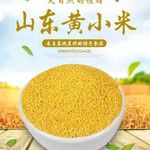 鲁强石磨源 袋装小米500G