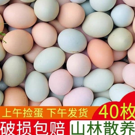 蒲农荟 农家散养土鸡蛋多彩蛋粉绿混壳笨鸡蛋柴鸡蛋现捡现发40枚