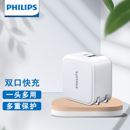 飞利浦/PHILIPS 充电器  SWR4109/93图片