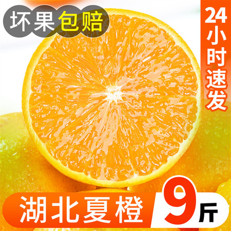 秭归夏橙9斤中果(60-65mm)  新鲜水果果园直发
