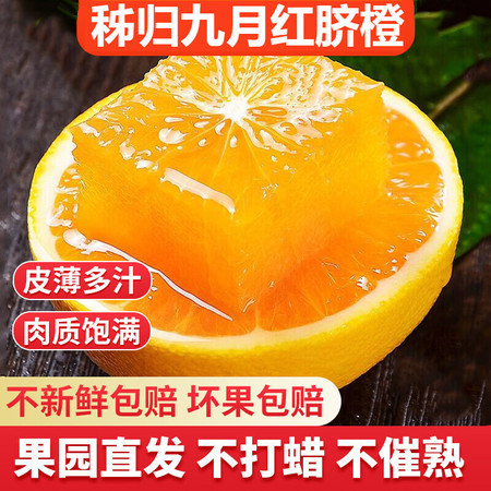 湖北秭归脐橙九月红秋橙新鲜水果 5斤装 多规格