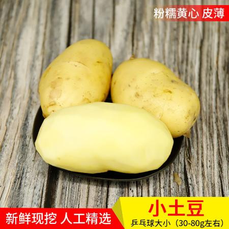 莱芜特产山东黄心土豆新鲜包邮农家现挖现发食用香甜图片