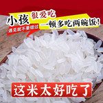 【吉林贡品】长春松花江畔贡米之乡-五官庄新稻谷笨磨香米5斤装2袋九台贡米吉林大