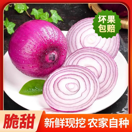 义江缘 紫皮洋葱新鲜圆葱应季蔬菜红皮大洋葱头整箱图片