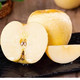 义江缘 维纳斯黄金苹果新鲜水果当季现摘奶油富士冰糖心苹果