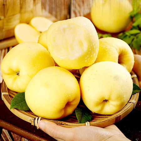 义江缘 维纳斯黄金苹果新鲜水果当季现摘奶油富士冰糖心苹果图片