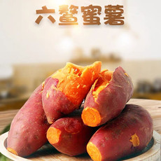 义江缘 六鳌红薯新鲜地瓜番薯农家自种沙地糖心蜜薯小山芋