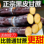 义江缘 广西黑皮甘蔗新鲜水果当季脆甜杆蔗孕妇果蔗批发特产整箱