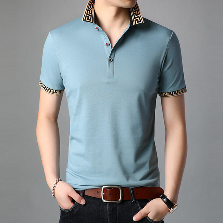 verhouse 男士短袖T恤夏季新款男青年休闲POLO衫修身打底衫图片