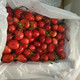 樱冠 樱桃撒米脱1.5kg/箱