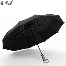 鲁凤来 雨伞 全自动十骨雨伞折叠自开收户外晴雨伞两用 防风雨伞