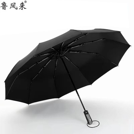 鲁凤来 雨伞 全自动十骨雨伞折叠自开收户外晴雨伞两用 防风雨伞图片