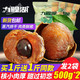 九鲤湖 【新人】桂圆 500g*2袋新货桂圆干福建特产龙眼