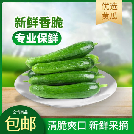 蒲骚 水果黄瓜新鲜采摘生吃小黄瓜3斤青瓜时令当季蔬菜图片
