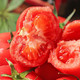 感知起源 普罗旺斯西红柿 精品装 果园直发带箱