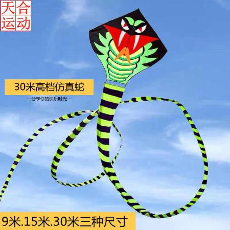 潍坊风筝超长30米蛇风筝儿童成人初学者微风易飞超大型成人批发图片