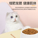 麦斯蒂全猫期500g/1.5kg 补充营养成猫猫主粮