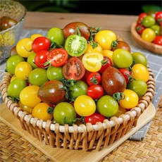 农家自产 釜山88西红柿(三色)