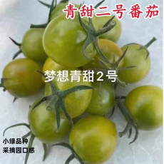 农家自产 釜山88西红柿（绿色）