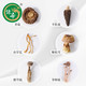绿帝 菌菇汤料包（B款）70g