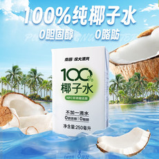 南国 椰子水250ml