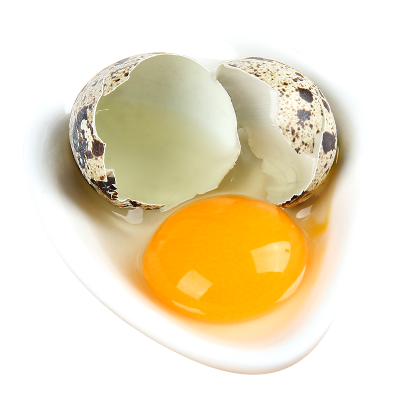 神丹  鹌鹑鲜蛋50枚   宝宝辅食