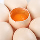 神丹初产鲜鸡蛋40枚1.2kg