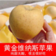 【领券立减】山东维纳斯黄金苹果 纯甜无酸 5斤礼盒装（净重4.5斤） 全国部分区域包邮