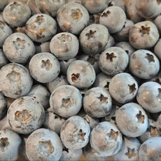 农家自产 蓝莓500g