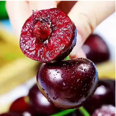 农家自产 和龙现场采摘大樱桃1kg(吉林省外用户购买)