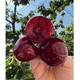 农家自产 (省外)和龙现场采摘大樱桃1kg