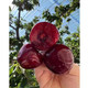 农家自产 【不限购】和龙现场采摘大樱桃1kg（仅限吉林省内地区购买）