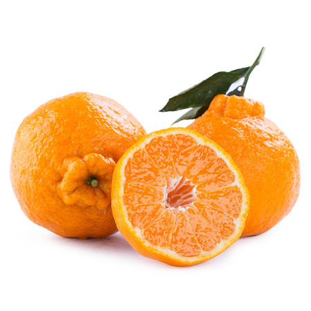  农家自产 四川不知火丑柑，丑橘酸甜适中，大人小孩都爱吃