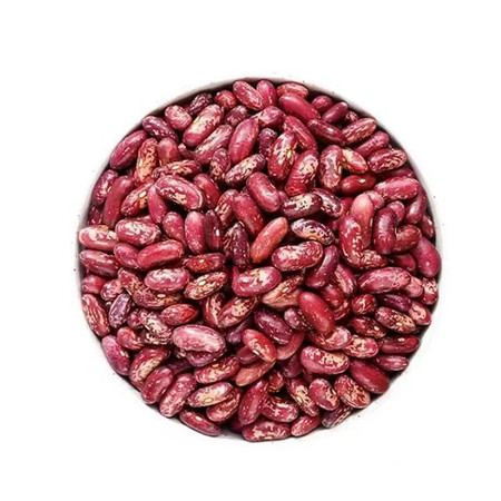 农家自产 东北紫花芸豆，产地吉林，组合装笨碴子3斤，5斤装图片