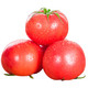  农家自产 山东普罗旺斯西红柿，酸甜可口